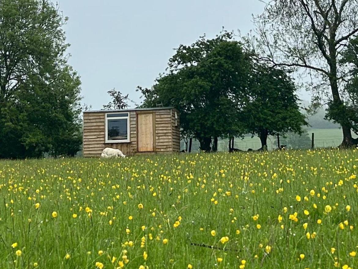Hotel Off Grid Shepherds Hut Llansilin Exterior foto